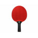 Теннисная ракетка plastic Start line 21121P red 75_75